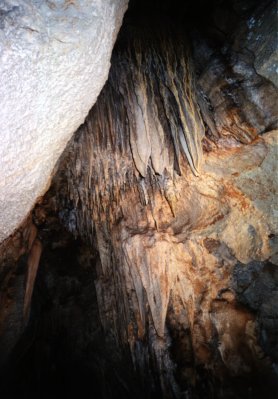 Cutta Cutta Caves