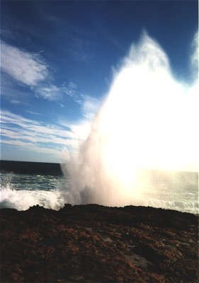 Blowhole