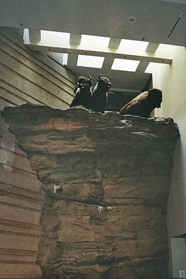 Head Smeashed-In Buffalo Jump