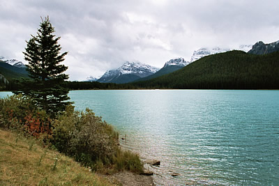 Waterfowl Lake