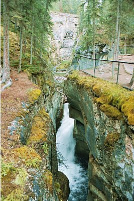 Maligne Canyon