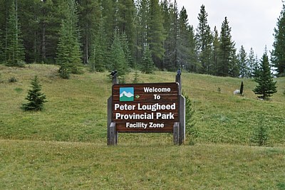 Peter Lougheed P.P.
