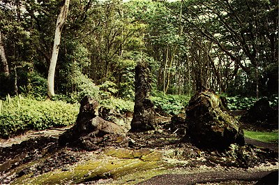 Lava Tree State Park