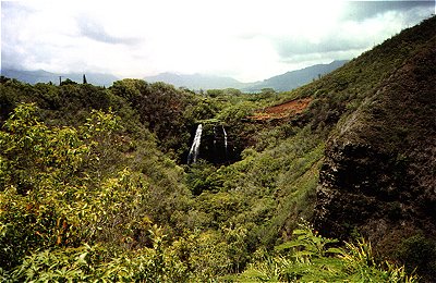 Opaekaa Falls