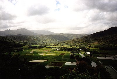 Hanalei Valley