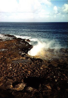 Spouting Horn
