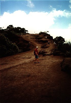 Pihea Trail