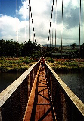 Swinging Bridge