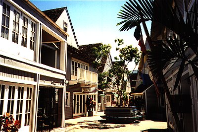 Lahaina Pier 505