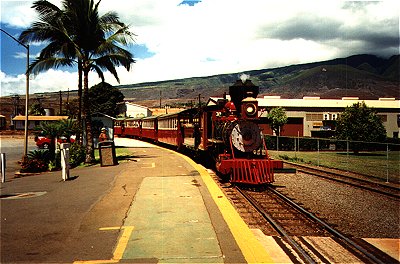 Sugar Cane Train