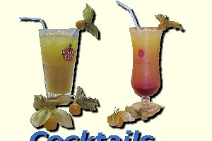 Cocktails
