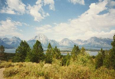 Grand Teton View