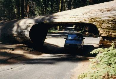 Tunnel Log